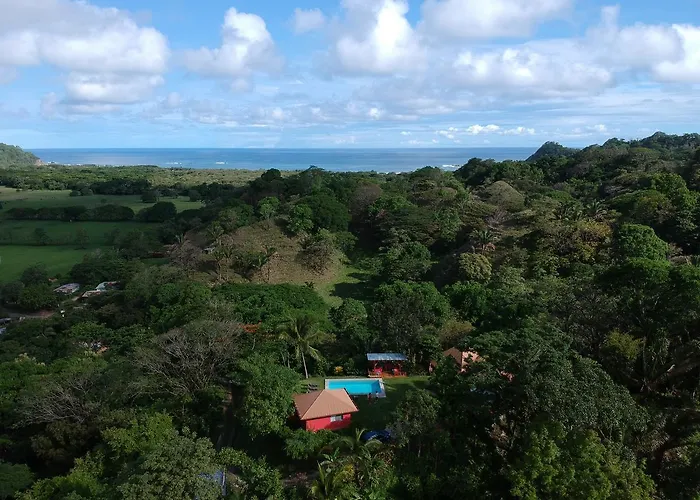 El nido rojo