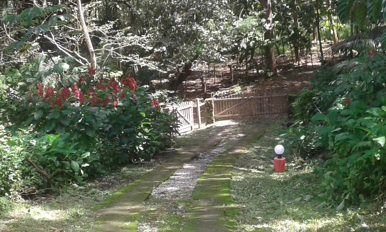 El Nido Rojo Bed and breakfast *